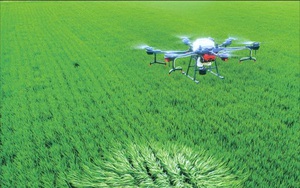 Công nghệ - Công cụ - Chính sách thúc đẩy sản xuất nông nghiệp bền vững