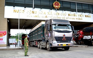 Bộ trưởng Lê Minh Hoan đề nghị nghiên cứu kinh nghiệm của Trung Quốc trong tạo &quot;luồng xanh&quot; cho nông sản  