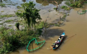 Dọc theo triền sông ở An Giang: Gõ cái nồi cơm là nghe rào rào tiếng cá về