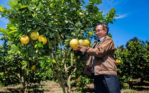  &quot;Đột nhập&quot; trang trại 20 tỷ đồng chuẩn Organic &quot;đẹp như tranh vẽ&quot; ở Kon Tum, cung cấp 240 tấn trái cây mỗi năm
