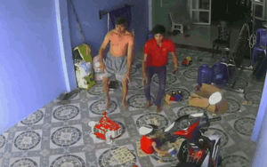 Video: Lại xuất hiện rắn dài 2 mét lao vào nhà dân ở Nghệ An