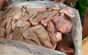 Gần 3.000kg thực phẩm không rõ nguồn gốc trong kho đông lạnh tại Hà Nội