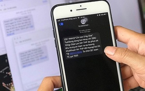 Hà Nội: Xử phạt 183 triệu đồng hành vi thực hiện nhắn tin, gọi điện và quảng cáo rao vặt