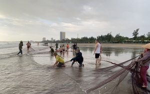 Nghệ An: Giữa mùa dịch, khách du lịch vắng hoe, ngư dân Cửa Lò đi kéo lưới gì mà bắt được toàn cá ngon?