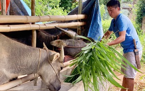 Lai Châu: Hội nông dân huyện biên giới Nậm Nhùn chung sức xây dựng nông thôn mới