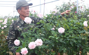 Hưng Yên: Giải bài toán “được mùa rớt giá” với nghề trồng hoa, nuôi cá 