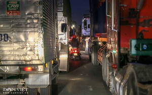 Bình Dương: Thí điểm cấm xe trọng tải lớn theo giờ trên các tuyến đường huyết mạch
