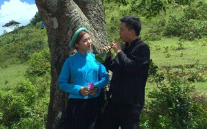 Quảng Ninh: Vùng đất Đồi Tình nam nữ hát xướng ca, da diết nhất là "yêu nhau mà không đến được với nhau"