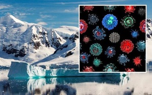 Tìm thấy 28 loài virus mới ở sông băng Trung Quốc