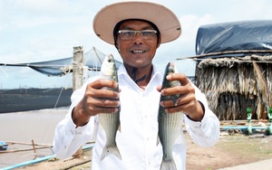 Một nông dân Việt Nam xuất sắc ở tỉnh Bạc Liêu tặng 10 tấn cá đặc sản cho bà con khu cách ly, phong tỏa