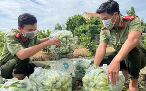 Covid-19 An Giang: Công an tỉnh mua 30 tấn rau, quả, thực phẩm của nông dân để gửi tặng TP HCM