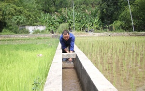 Thái Nguyên: Lạ và khó tin khi ở nơi này nông dân vừa phải đi mua nước về để...cấy lúa