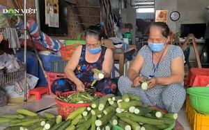 Cà Mau: Ấm áp suất cơm nghĩa tình của "má Nga"