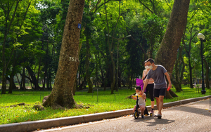 Ghé thăm nơi được mệnh danh là "lá phổi xanh" trong lành bậc nhất Hà Nội