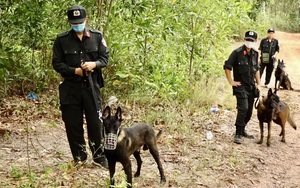 Công an Quảng Bình thông báo truy tìm con rể người phụ nữ bị chém chết sau vườn nhà