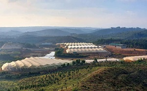 Khu nông nghiệp ứng dụng công nghệ cao tỉnh Đắk Nông: Nỗ lực hoàn thiện hạ tầng, thu hút đầu tư