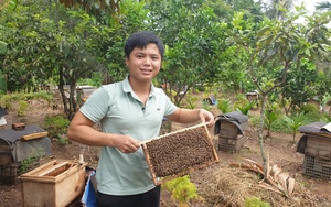 Thanh Hóa: Cử nhân bỏ lương 20 triệu về nuôi con nổi tiếng chăm chỉ nhất thế giới, thu nửa tỷ đồng mỗi năm