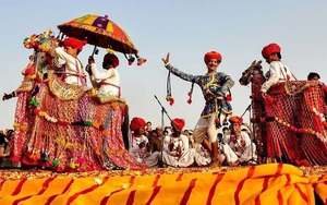 Văn hóa lạc đà là văn hóa gì mà chỉ duy nhất có ở Ấn Độ