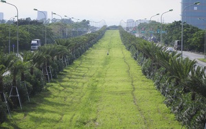 Công ty Công viên cây xanh Hà Nội trúng hàng loạt gói thầu &quot;khủng&quot; nào trên địa bàn Thành phố?
