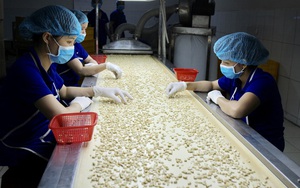 Việt Nam nhập 2,2 tỷ USD loại nông sản này về chế biến, rồi bán cho Mỹ, Nhật Bản thu 1,65 tỷ USD