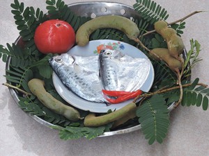 Quảng Nam: Cá bánh lái là loại cá gì mà chế biến kiểu gì cũng ngon, đem nấu với lá me chua thành &quot;cực phẩm&quot;