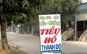 Tiết lộ độc quyền từ “làng nuôi hổ”: Nuôi hổ kiểu Hợp tác xã, chia chác “siêu lợi nhuận”