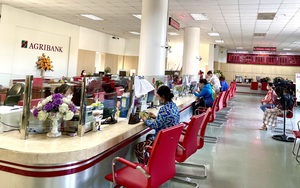 Quảng Nam: Agribank "bơm" hơn 10 nghìn tỷ vào lĩnh vực tam nông