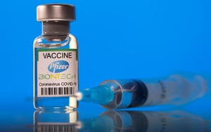 Thủ tướng điện đàm, Chủ tịch Pfizer cam kết ủng hộ Chính phủ Mỹ hỗ trợ Việt Nam về vaccine Covid-19