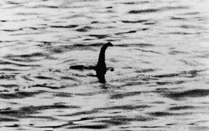 Các nhà khoa học tiết lộ sự thật về quái vật hồ Loch Ness 