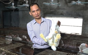 Bắc Ninh: Bỏ nghề phiên dịch tiếng Hàn Quốc, 8X điển trai về quê nuôi thỏ “bỏ túi” 700 triệu đồng/năm