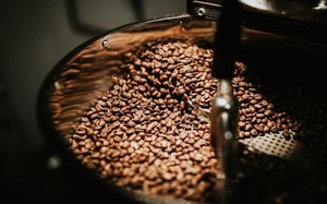 Giá nông sản hôm nay 23/8: Trung Quốc kiểm dịch ngặt nghèo, XK hồ tiêu gặp khó; cà phê đi ngang