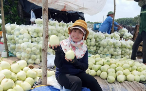 Bà Rịa-Vũng Tàu: Đưa sản phẩm nông nghiệp lên sàn thương mại điện tử