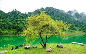 Địa điểm du lịch: Hồ Thang Hen hiện tượng thiên nhiên kỳ bí có một không hai, khoa học chưa giải thích