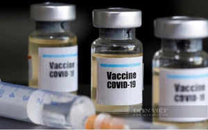 Thông tin mới vụ &quot;người thân cán bộ xã ở Bình Định được tiêm vaccine ngừa Covid-19&quot;