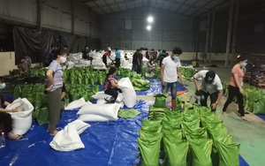 Bình Dương: Xuyên đêm chia gạo, thực phẩm để phát tận tay người dân vùng bị “khoá chặt”