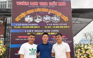 Hai đại gia lan đột biến vừa bị bắt vì thu lợi trăm tỷ đồng từ than lậu đối mặt hình phạt nào?