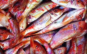 Loại cá tên nghe kỳ cục lại có màu hồng mộng mơ là đặc sản ngon ngọt thịt rất được ưa chuộng ở Quảng Ninh