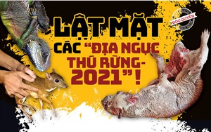 Lật mặt các 