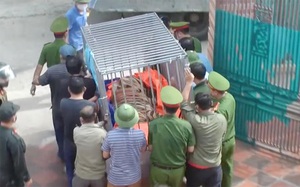 Vụ nuôi nhốt trái phép 17 con hổ ở Nghệ An: "Kiểm lâm từng kiểm tra nhưng không phát hiện trường hợp nào"