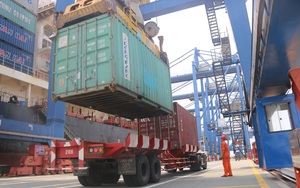 Bộ GTVT kiến nghị Thủ tướng chỉ đạo giải phóng container tồn đọng tại Cảng Cát Lái