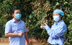 300 siêu thị ở Anh, EU sẵn sàng &quot;mở cửa&quot; đón nhãn Chí Linh