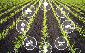 Ngành KH&CN: Ứng dụng công nghệ trong kiểm soát dịch bệnh, hỗ trợ ứng dụng IoT vào nông nghiệp