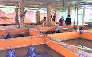 Đồng Nai: Nông dân giàu nhờ xây bể xi măng nuôi lươn không bùn dày đặc, nhiều người kéo đến xem