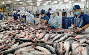 Khó khăn liên hoàn, ngành thủy sản có nguy cơ mất thị trường xuất khẩu?