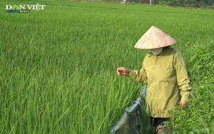 Nông dân Chương Mỹ biến sức ép kép thành mục tiêu kép (Kỳ 2): Kích hoạt "mật mã phiếu thăm đồng”