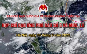 [TRỰC TIẾP]: Họp trực tuyến chỉ đạo ứng phó với Bão số 5 (CONSON) và mưa lũ lớn