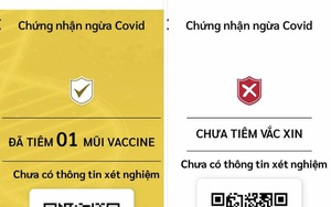 TP.HCM: Người dân chỉnh sửa thông tin tiêm vaccine Covid-19 như thế nào?