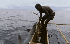 Video: Cận cảnh màn săn cá mập bằng tay không của thổ dân trên thuyền độc mộc