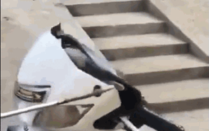 Video: Sốc cảnh rắn hổ mang lao ra khỏi đầu xe máy rồi tấn công người