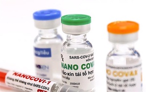 Ngày mai (15/9), Hội đồng Đạo đức và Hội đồng Tư vấn lại họp đánh giá vaccine Covid-19 Nano Covax